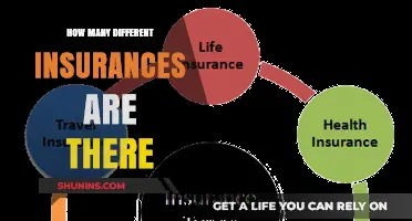 Exploring the Diverse World of Insurance Options