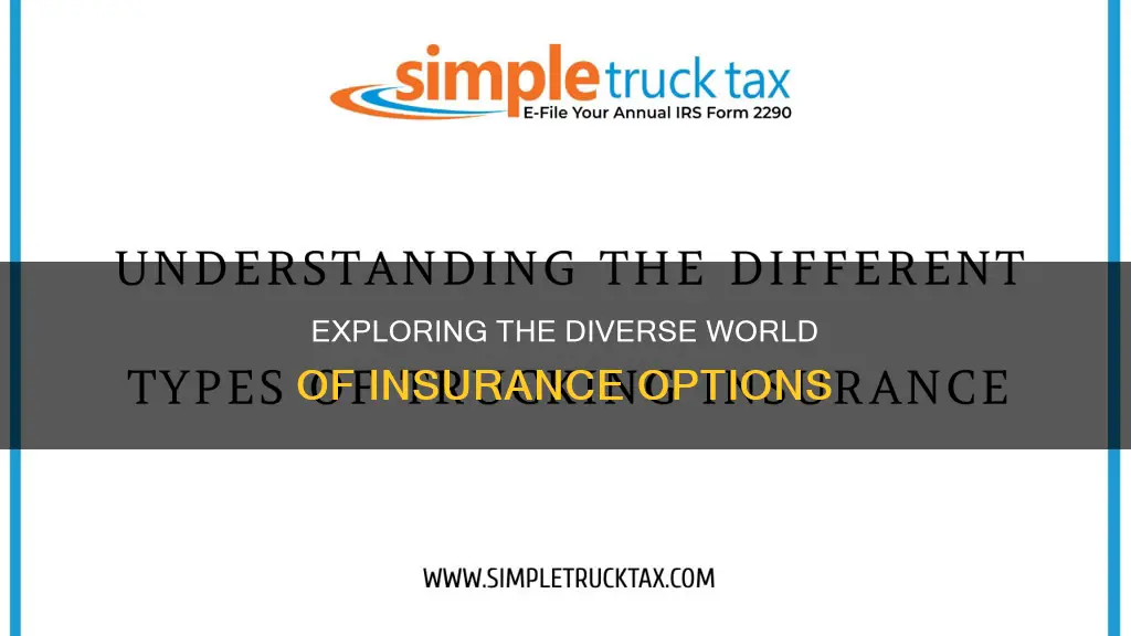 how many different insurances are there