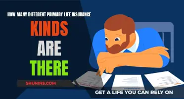 Primary Life Insurance: Understanding the Different Kinds