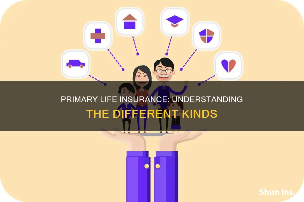 how many different primary life insurance kinds are there