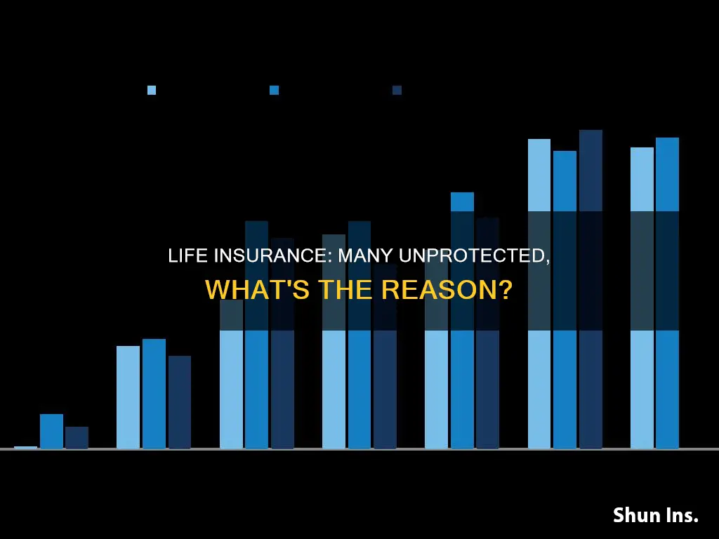 how many do not have life insurance