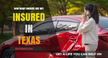 Uninsured Drivers in Texas: A Growing Concern on the Roads