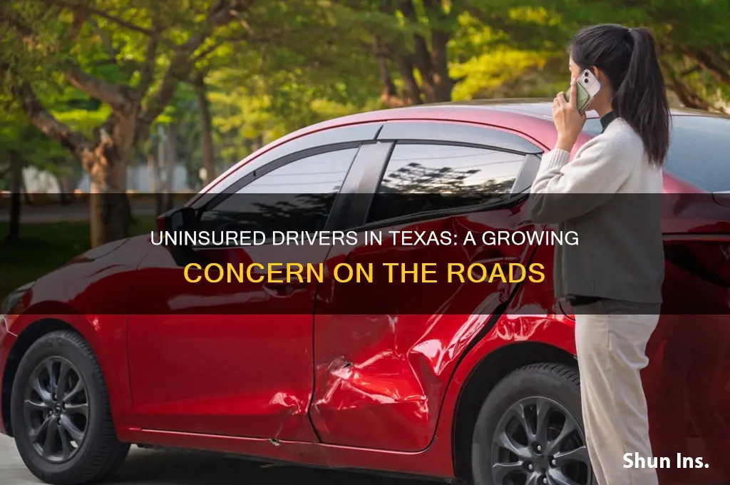 how many drivers are not insured in texas