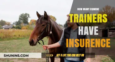 Do Equine Trainers Have Insurance? Exploring Coverage and Risks