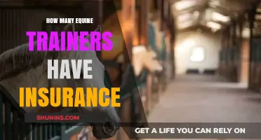Equine Trainers and Insurance: How Many Are Covered?