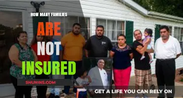 Uninsured Families in America: A Growing Crisis and Its Impact