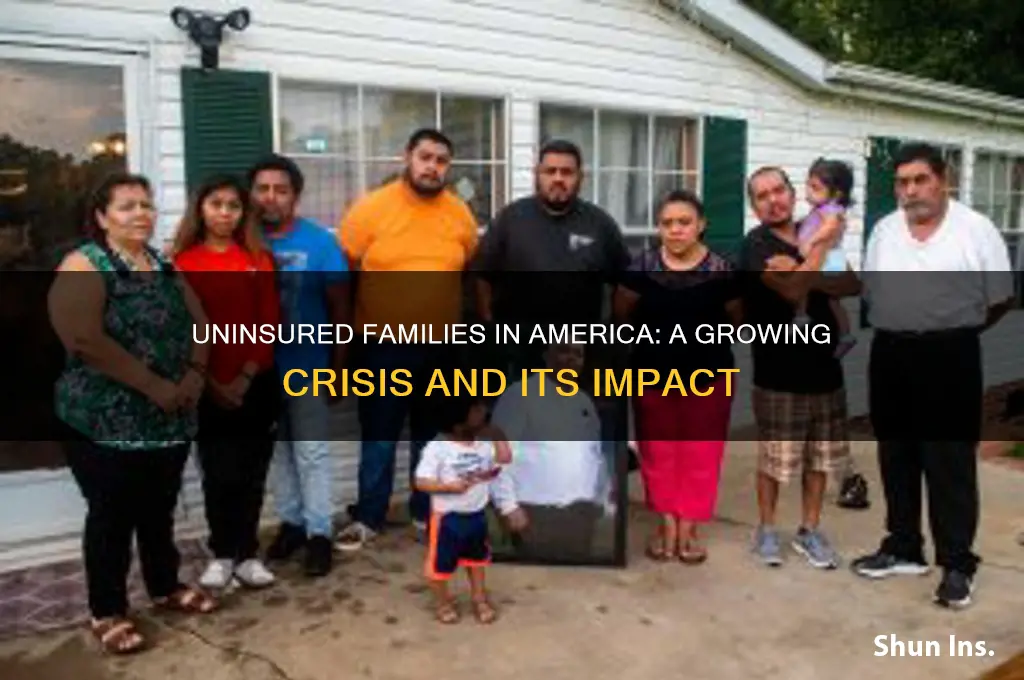 how many families are not insured