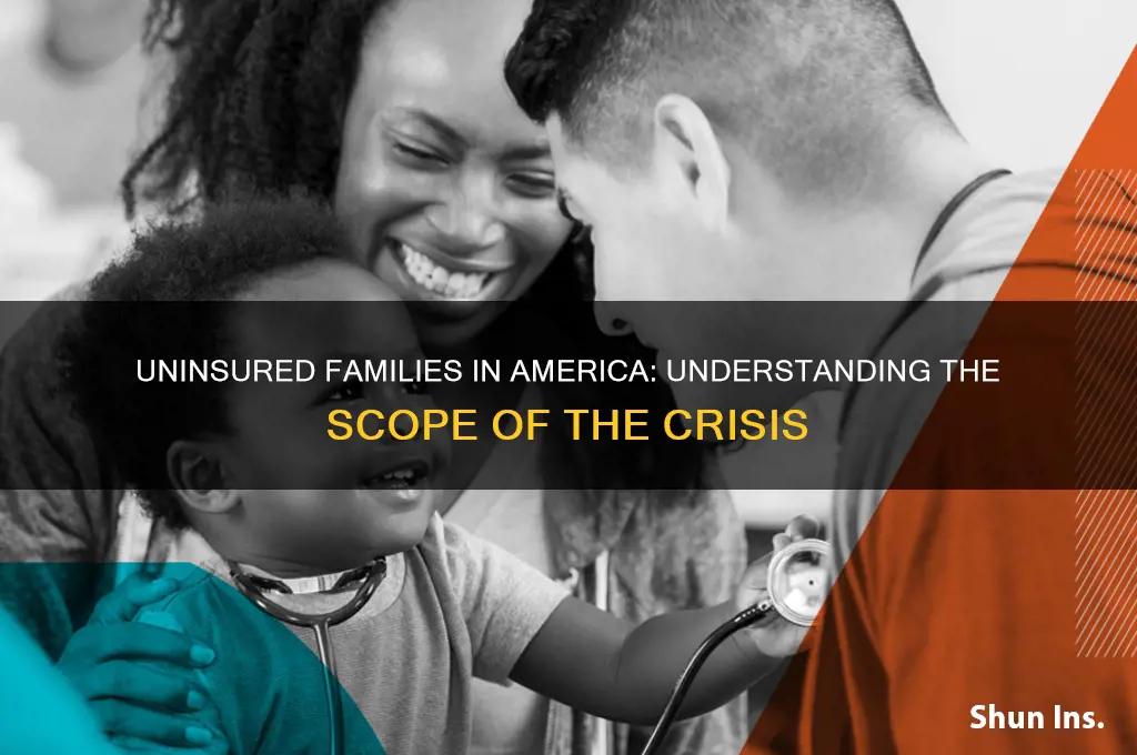 how many families in the us don