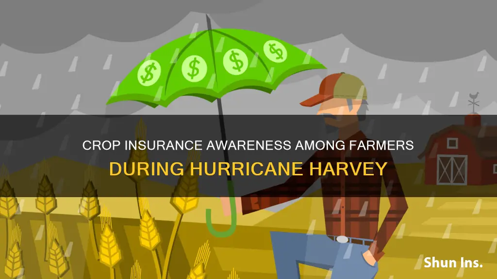 how many farmers had crop insurance during harvey