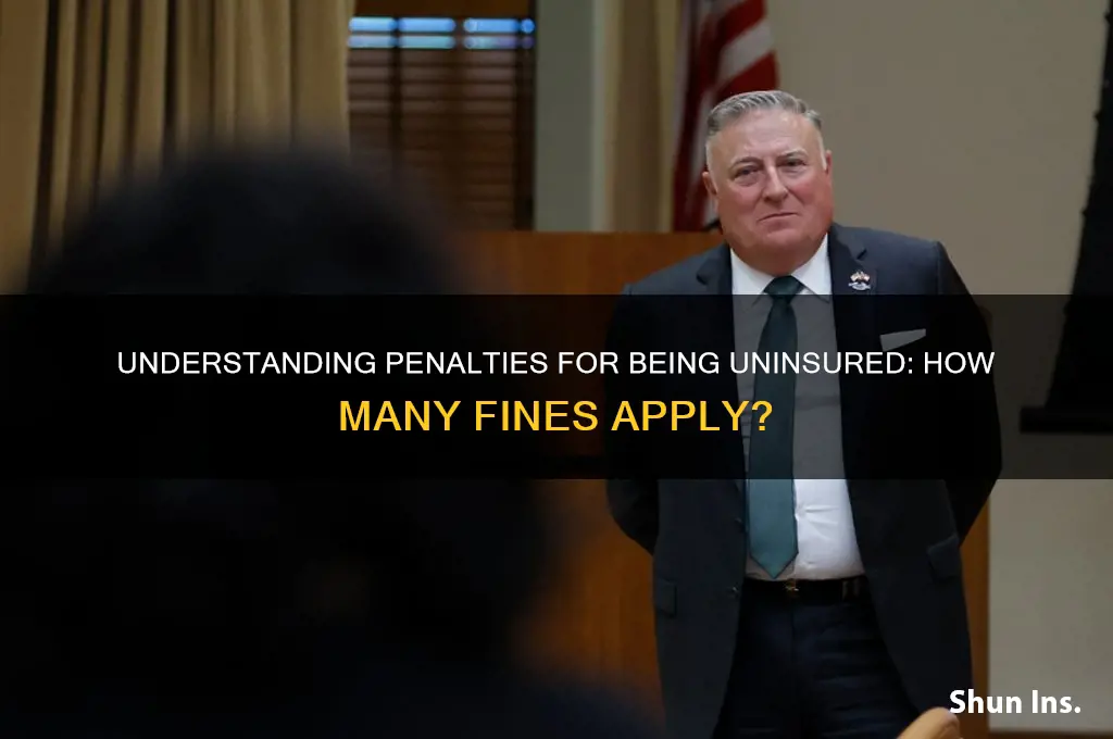 how many fines for no health insurance