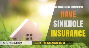 Florida Sinkhole Insurance: Who Has It?