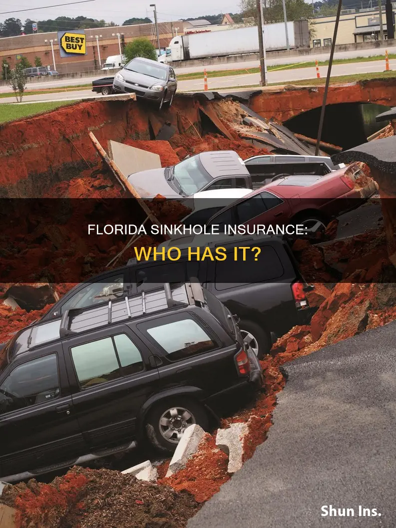 how many florida homeowners have sinkhole insurance