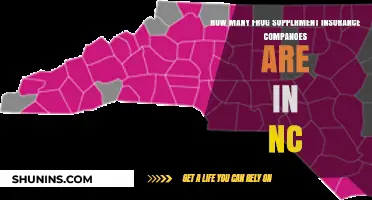Exploring the Number of Frugal Supplemental Insurance Companies in NC