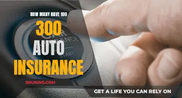 Auto Insurance: Understanding the 100/300 Coverage