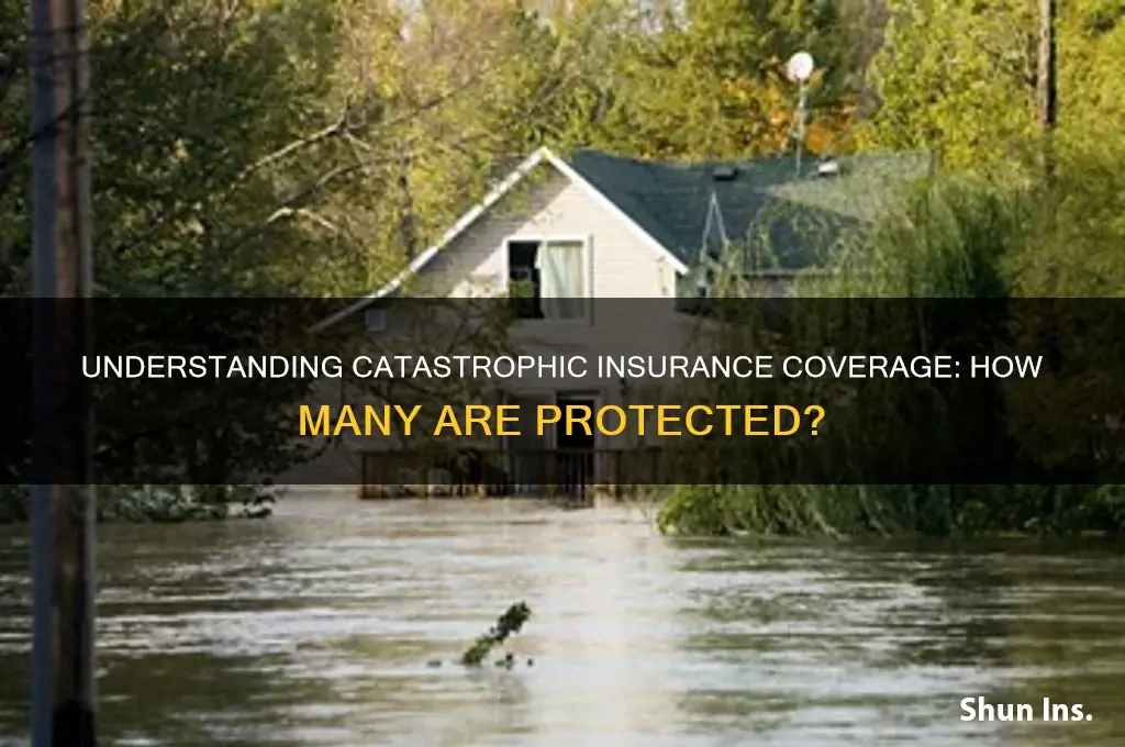 how many have catastrophic insurance