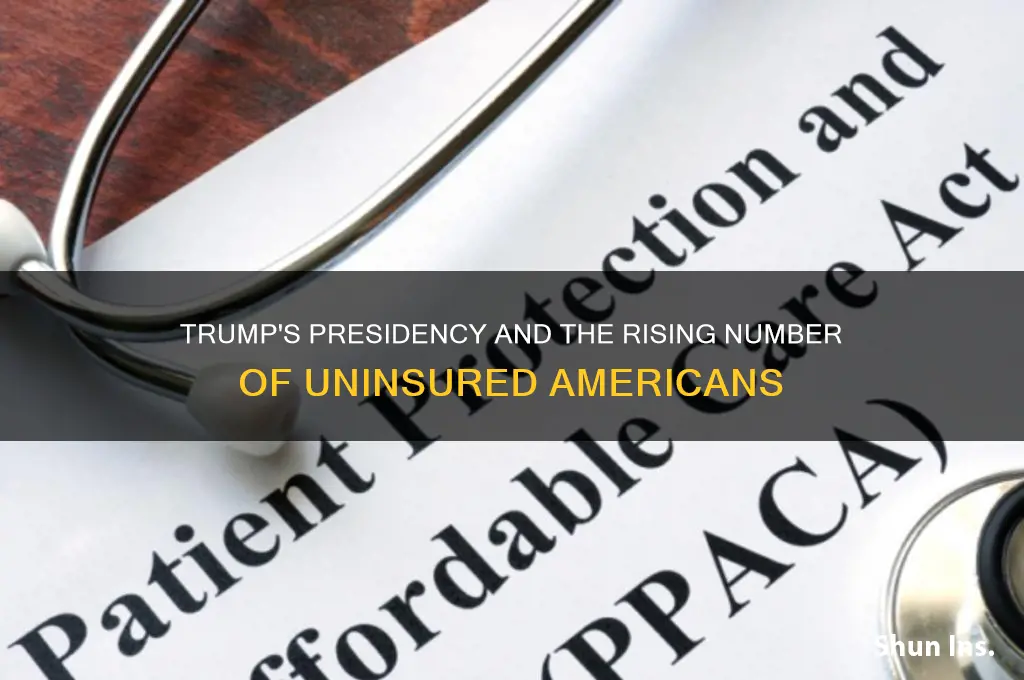 how many have lost insurance since trump took office