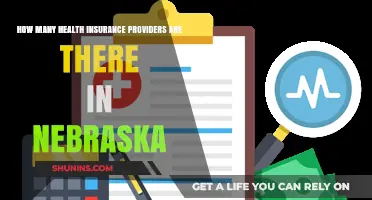 Exploring Nebraska's Health Insurance Landscape: Providers and Options