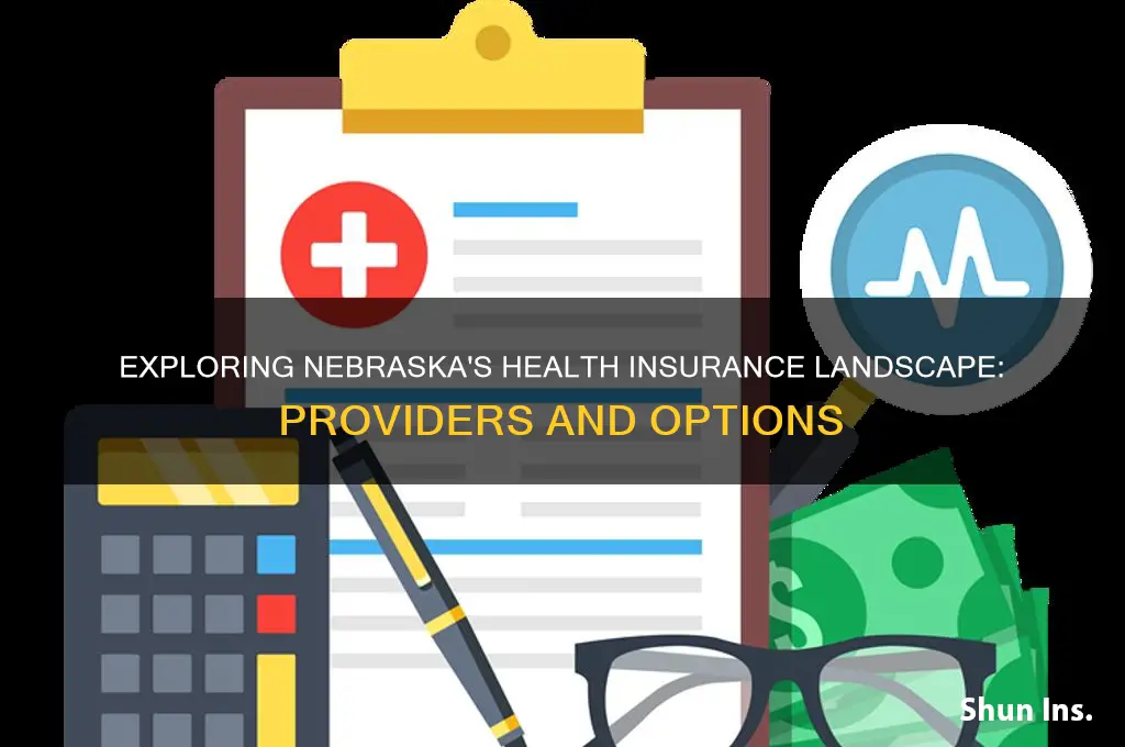 how many health insurance providers are there in nebraska