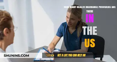 Exploring the Vast Landscape of US Health Insurance Providers