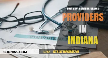 Exploring Indiana's Health Insurance Landscape: Providers and Options