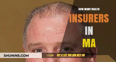 Exploring Massachusetts' Health Insurance Landscape: How Many Insurers Operate?