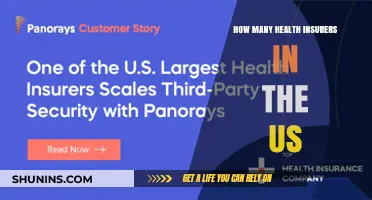 Exploring the Number of Health Insurers Operating in the US
