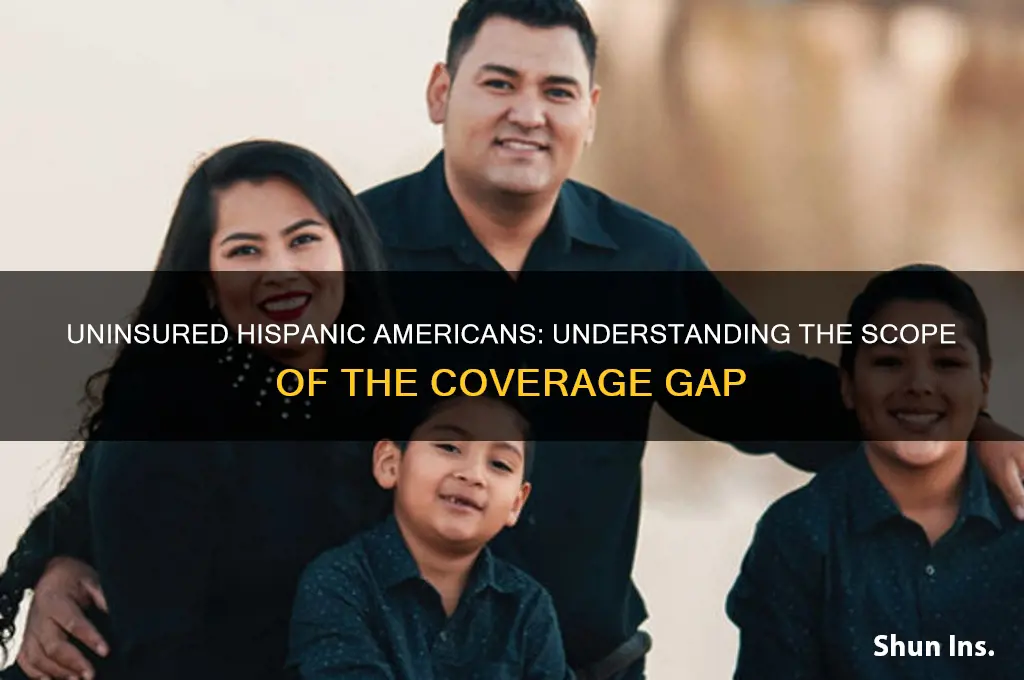 how many hispanics in the us dont have insurance