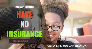 Uninsured and Homeless: The Hidden Crisis of Healthcare Access