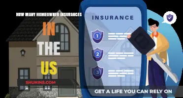 Homeowner Insurance: How Many Policies Exist in the US?