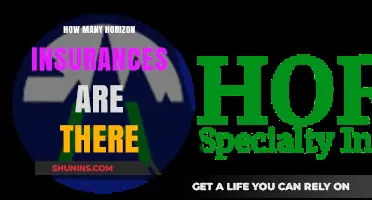 Exploring the Variety of Horizon Insurance Options Available Today