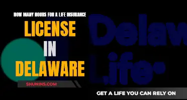 Life Insurance License: Delaware's Hour Requirements Explained