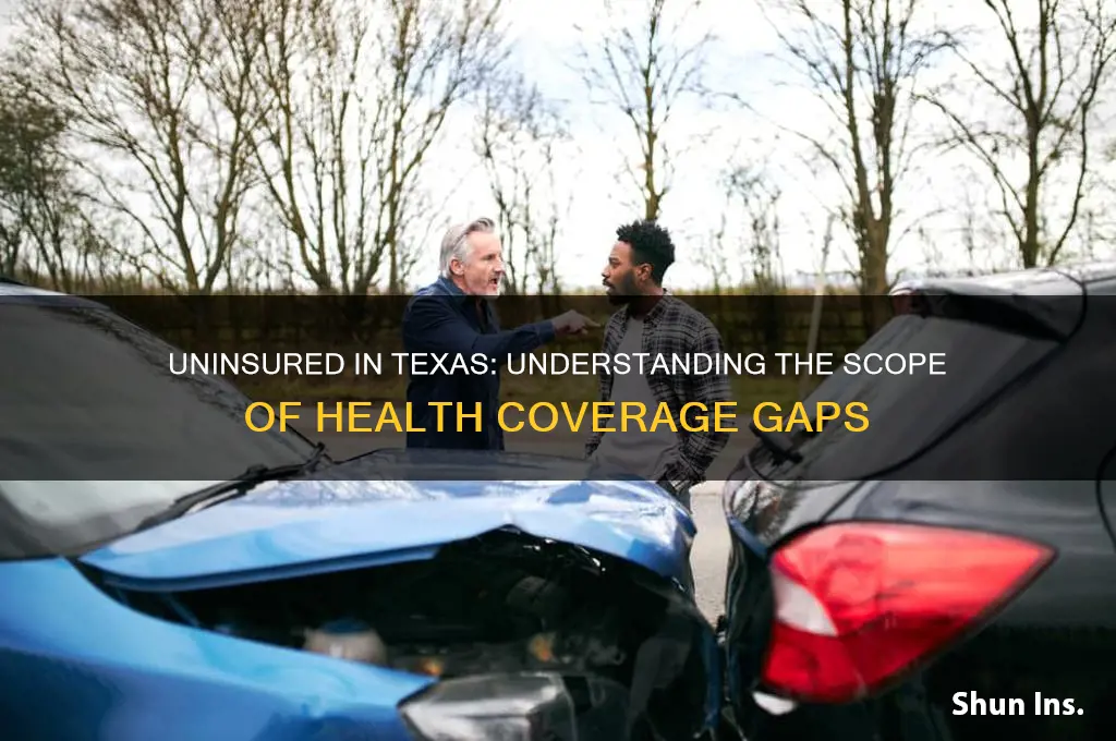 how many in texas do not have insurance