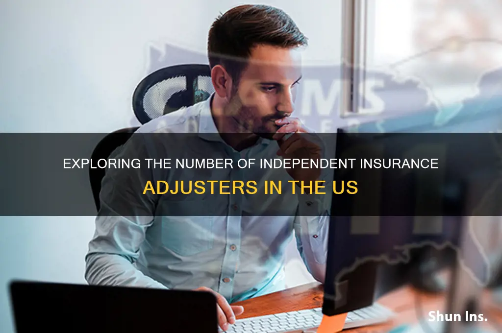 how many independent insurance adjusrers in us