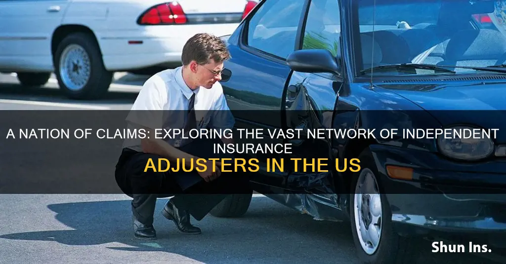 how many independent insurance adjusters in us