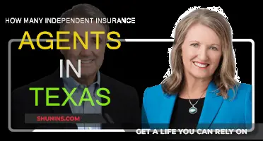 Texas Independent Insurance Agents: How Many Exist?