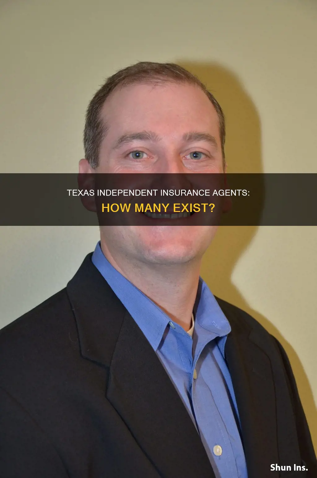how many independent insurance agents in Texas