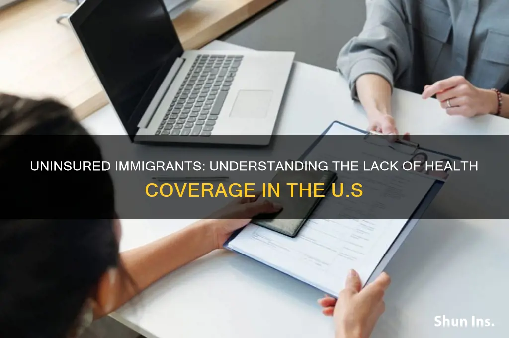 how many inmigrants have no insurance