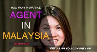 Exploring the Number of Insurance Agents in Malaysia