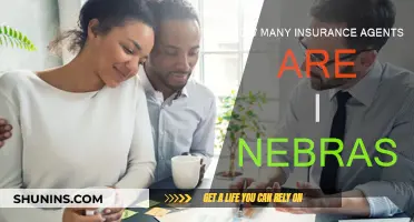 Insurance Agents in Nebraska: How Many Are There?