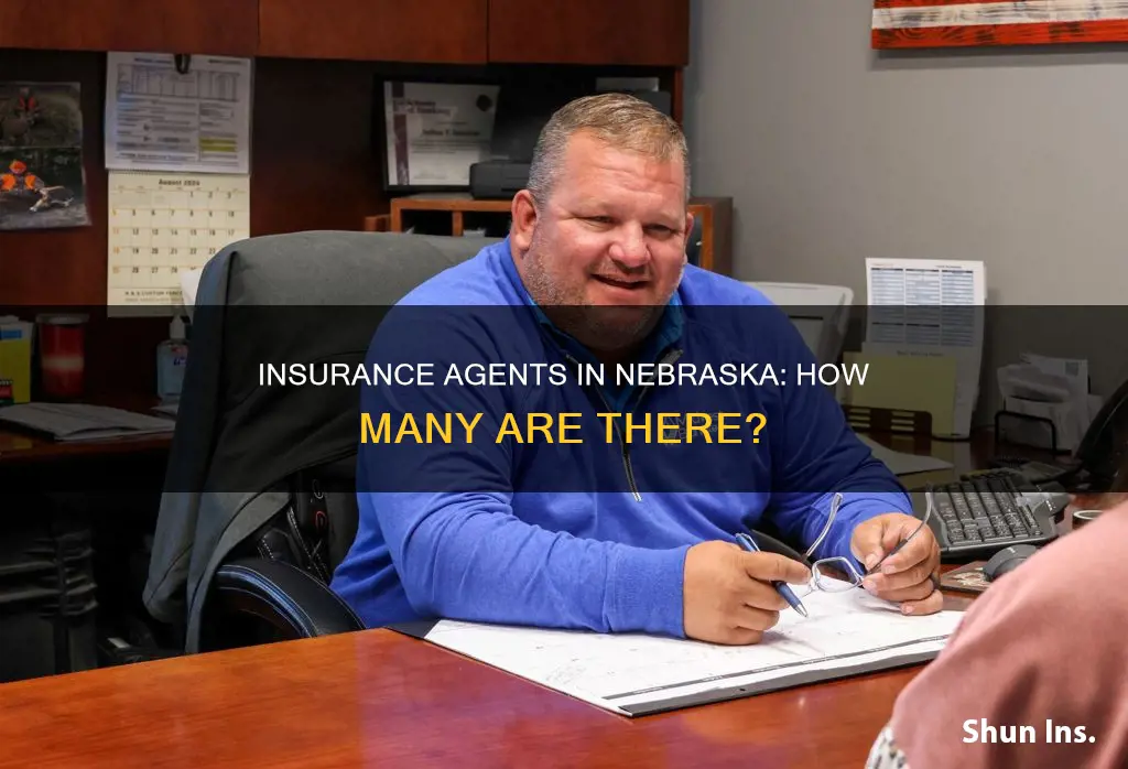 how many insurance agents are I nebraska