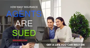 Insurance Agents and Lawsuits: A Common Combination?