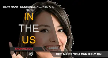 Insurance Agents in the US: A Comprehensive Count