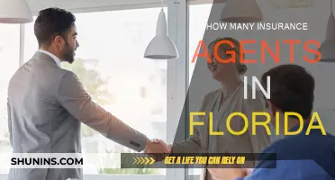 Florida's Insurance Agents: A Comprehensive Overview