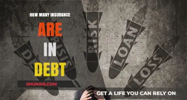 Understanding the Debt Crisis Among Insurance Companies Worldwide