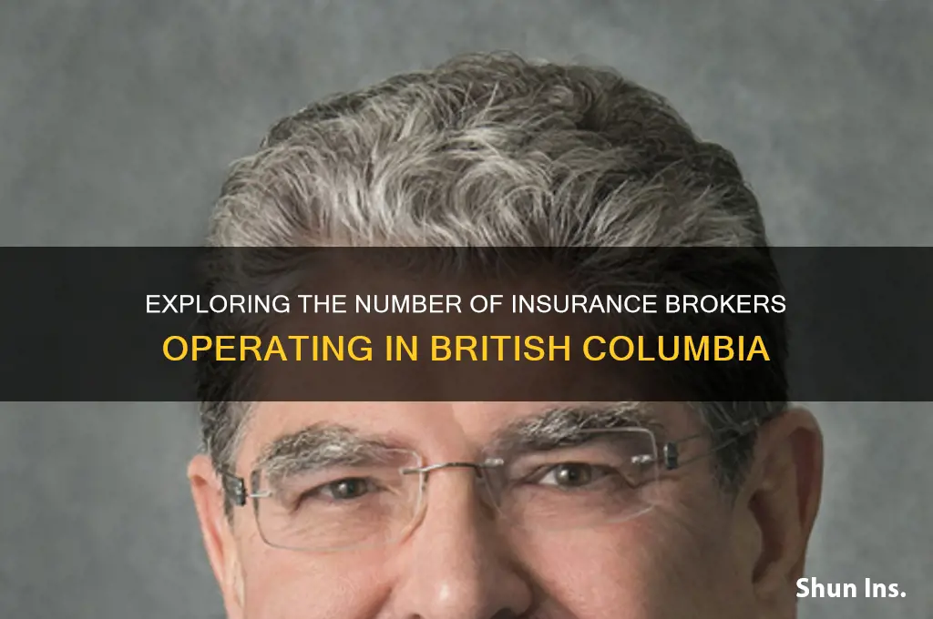 how many insurance brokers in bc