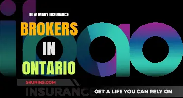 Exploring Ontario's Insurance Brokerage Landscape: Numbers and Insights