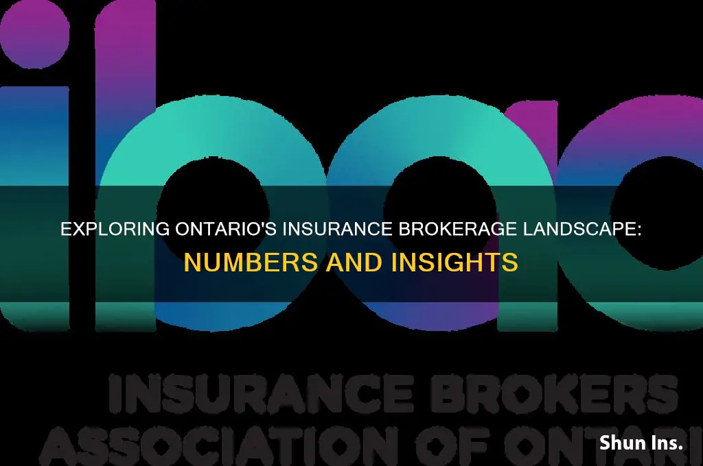 how many insurance brokers in ontario