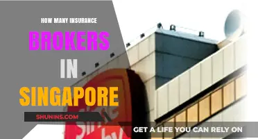 Exploring Singapore's Insurance Brokerage Landscape: Numbers and Insights