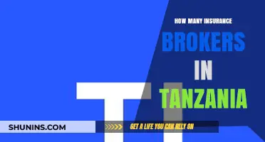 Exploring the Number of Insurance Brokers Operating in Tanzania