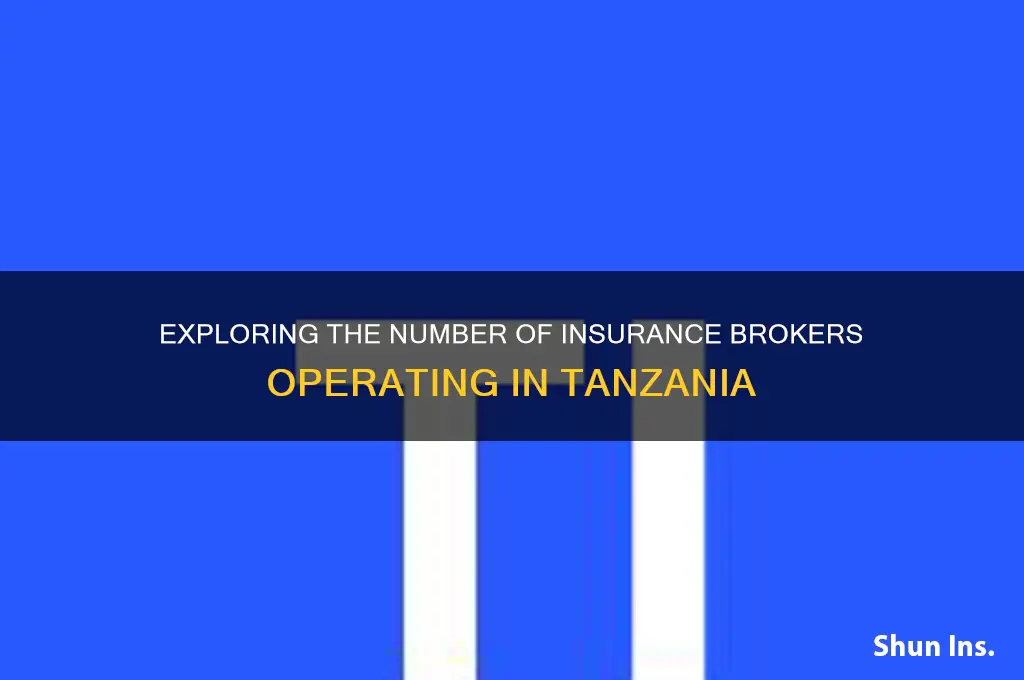 how many insurance brokers in tanzania